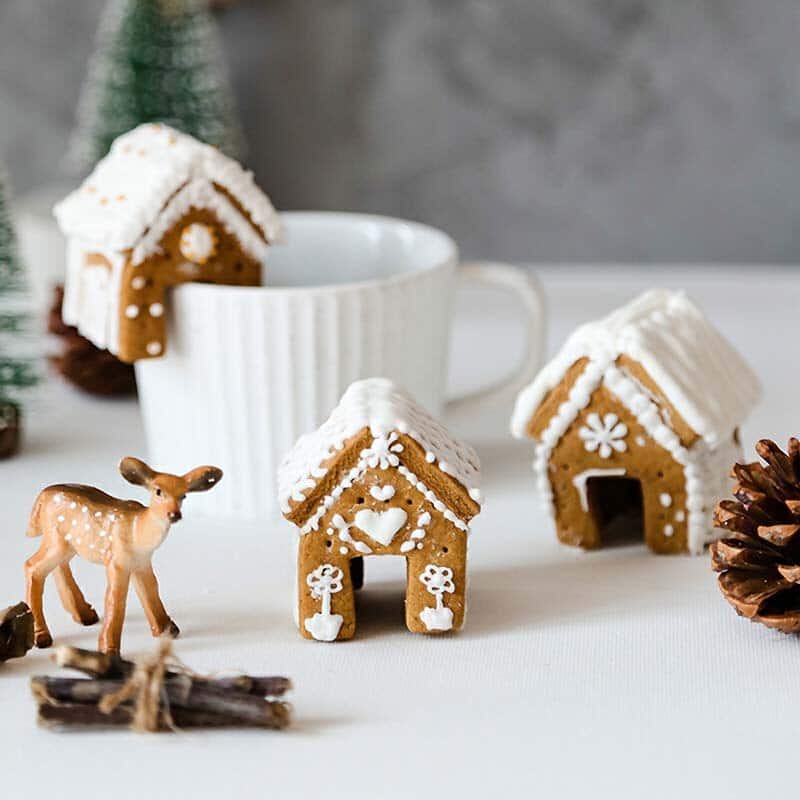 Emporte-pièces gâteaux de Noël + Stylo de glaçage noir